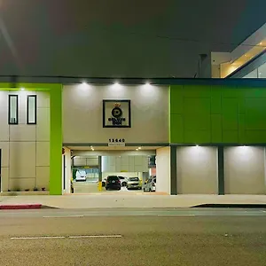 Deluxe Hawthorne/ Lax Hawthorne